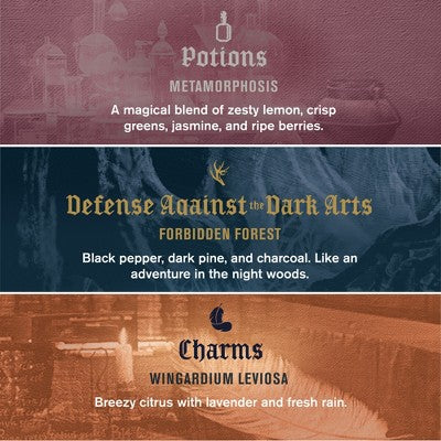 Every Man Jack Harry Potter Holiday Body Wash Gift Set 3ct - Imperfect Box
