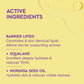 BYOMA Milky Oil Face Cleanser 3.38 fl oz - Imperfect Container
