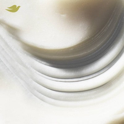 Dove Beauty Intensive Repair Therapy 10-in-1 Serum Hair Mask 9.2oz - Imperfect Container